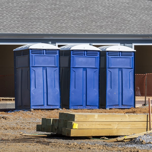 do you offer hand sanitizer dispensers inside the porta potties in Craigsville